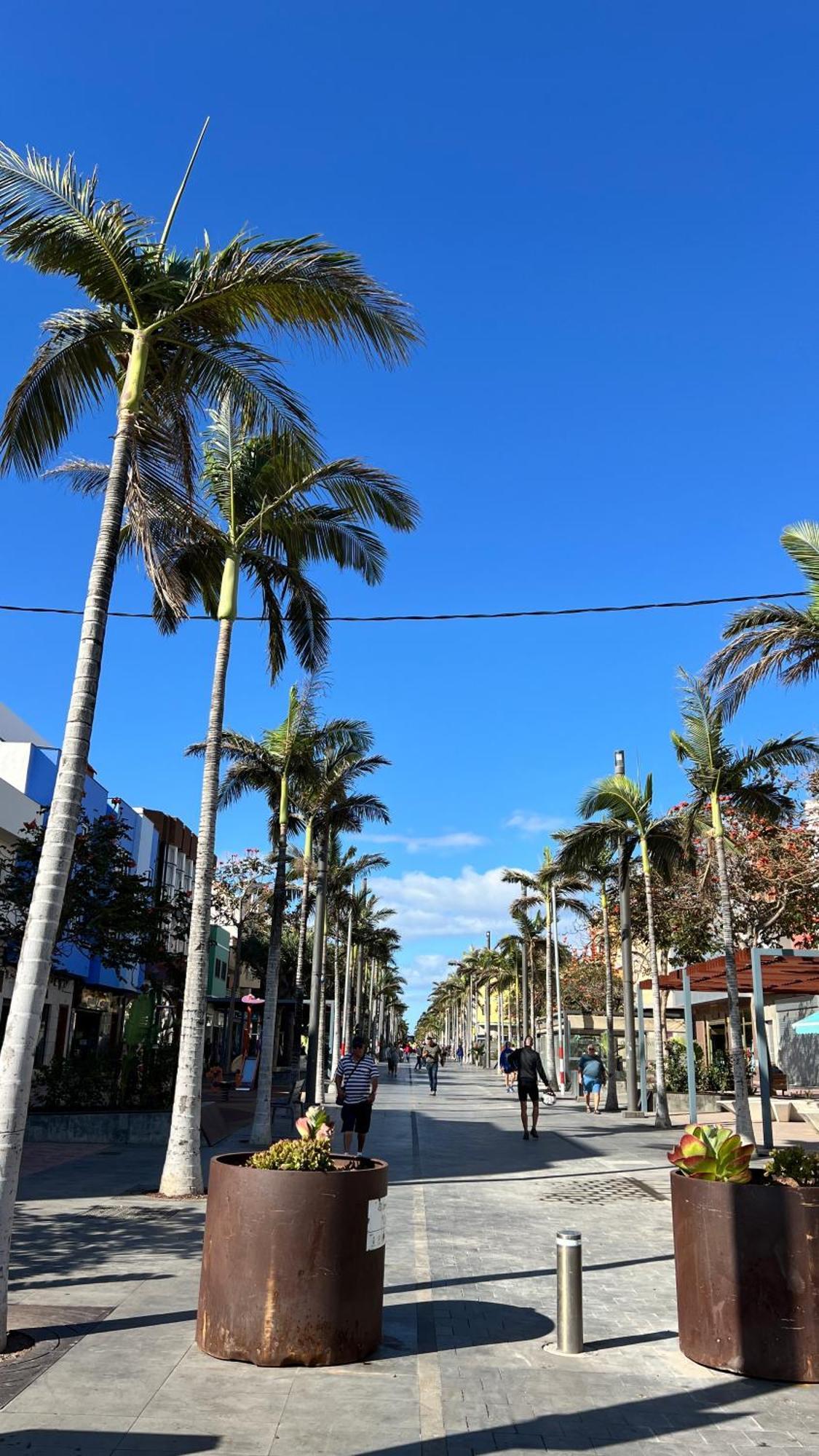 Mirame Canarias Весиндарио Екстериор снимка